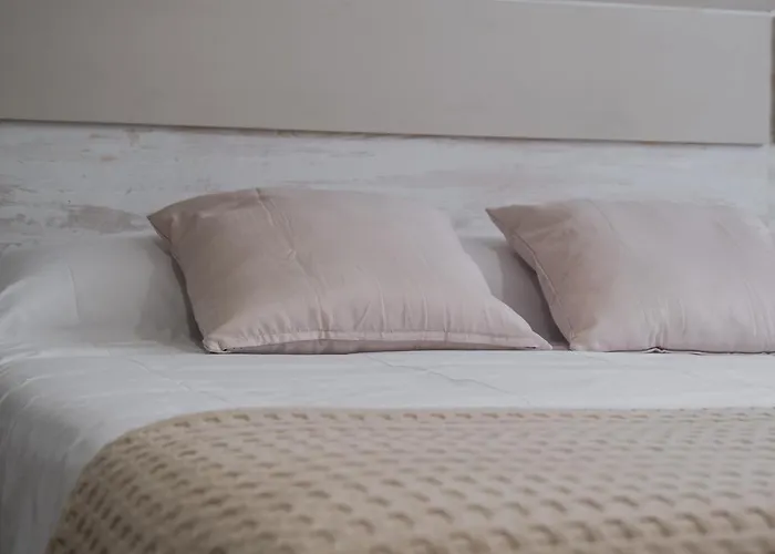 Miss Tic Ciudad Vieja Coruna 拉科鲁尼亚